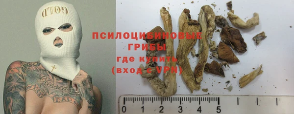 МДПВ Алексеевка