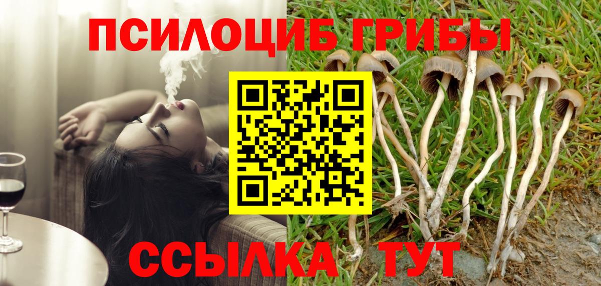 Псилоцибиновые грибы мицелий Чусовой