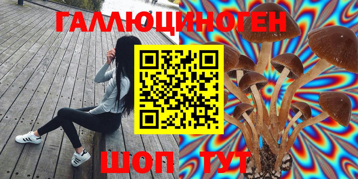 Чусовой  даркнет сайт  Вход с VPN  Псилоцибиновые грибы мицелий  Галлюциногенные грибы Magic Shrooms 